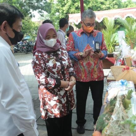 EPDesKel Tingkat Provinsi